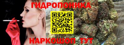 стаф Аргун